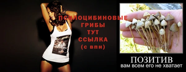 mdpv Аркадак